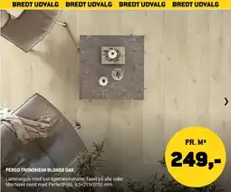 XL-BYG Pergo Trondheim Blonde Oak tilbud