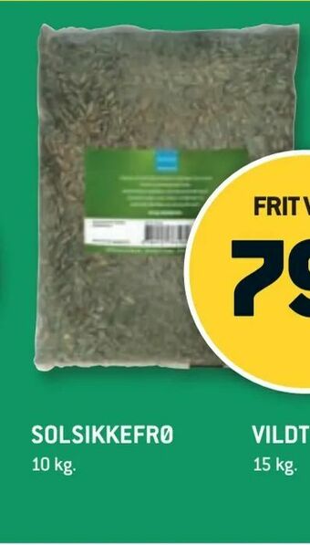 XL-BYG Solsikkefrø tilbud