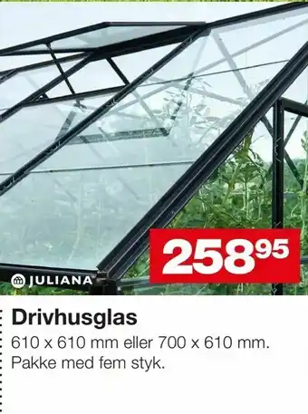 Drivhusglas