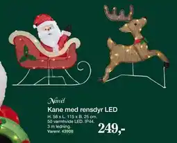 Harald Nyborg Kane med rensdyr LED tilbud