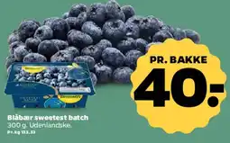 Netto Blåbær sweetest batch tilbud