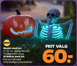 Netto Skelet med lys / Græskar med lys tilbud
