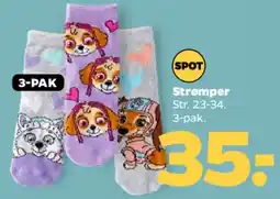 Netto Strømper 3-pak tilbud