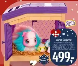 Føtex Mama Surprise tilbud