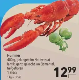 Citti Hummer tilbud