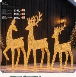 Harald Nyborg Novel LED hjort tilbud