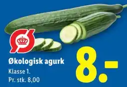 Lidl Økologisk agurk tilbud