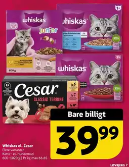 Løvbjerg Whiskas el. Cesar tilbud