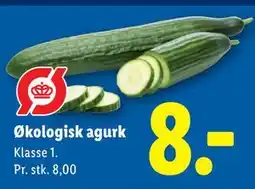 Lidl Økologisk agurk tilbud