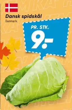 Bilka Dansk spidskål tilbud