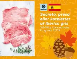 Bilka Secreto, presa eller koteletter af Iberico gris tilbud