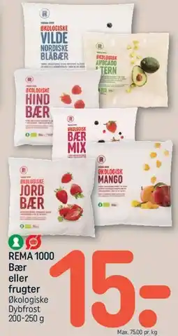 REMA 1000 REMA 1000 - Bær eller frugter (økologiske, dybfrost) tilbud