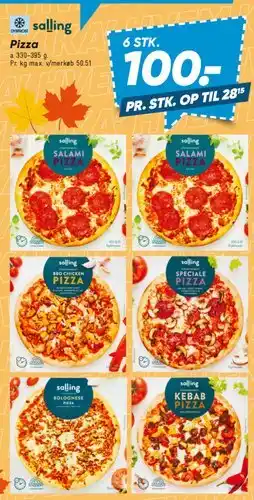 Bilka salling Pizza (udvalg) tilbud