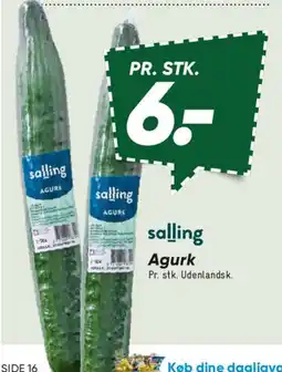 Bilka Agurk tilbud