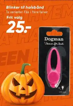 Bilka Tilbehør til halsbånd / blink tilbud