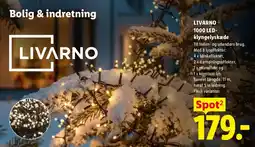 Lidl Livarno 1000 led-klyngelyskæde tilbud