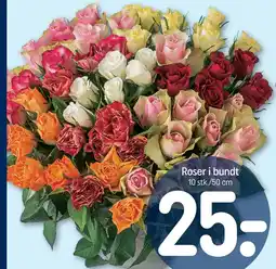 REMA 1000 Roser i bundt tilbud