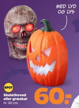 Netto Spot Skelethoved eller græskar tilbud