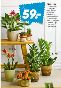 Bilka Planter tilbud