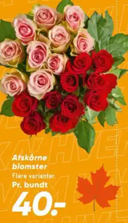 Bilka Afskårne blomster tilbud