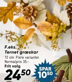 Bilka Ternet græskar tilbud