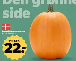 Netto Halloween græskar tilbud