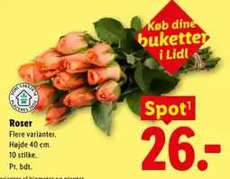 Lidl Roser tilbud
