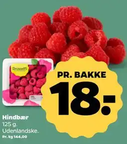 Netto Hindbær tilbud