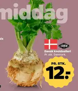 Netto Dansk knoldselleri tilbud
