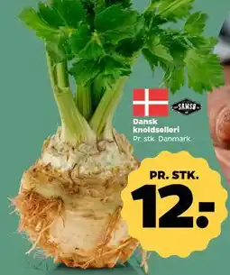 Netto Dansk knoldselleri tilbud