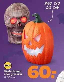 Netto Skelethoved eller græskar tilbud