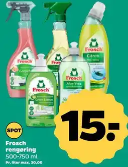 Netto Frosch rengøring tilbud