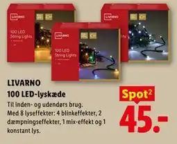 Lidl LIVARNO 100 LED-lyskæde tilbud
