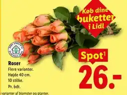 Lidl Roser tilbud
