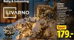 Lidl LIVARNO 1000 LED-klyngelyskæde tilbud