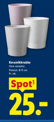 Lidl Keramikkrukke tilbud