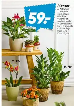 Bilka Planter tilbud