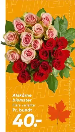 Bilka Afskårne blomster tilbud