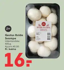 SPAR Gestus Hvide Svampe tilbud