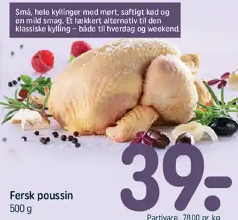 Fersk poussin