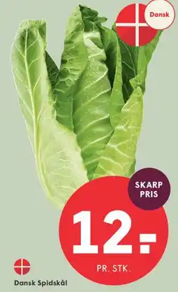 SPAR Dansk Spidskål tilbud