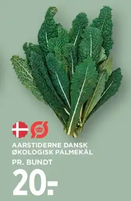 MENY Aarstiderne økologisk palmekål tilbud