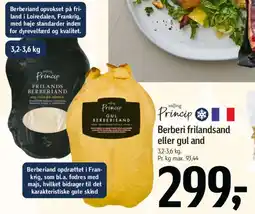 Føtex Berberi frilandsand eller gul and tilbud