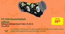 Maxi Zoo Fit+Fun GlowInTheDark pullover tilbud