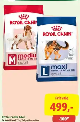 Maxi Zoo Royal Canin Adult tilbud