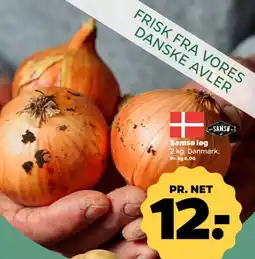 Netto Samsø løg tilbud