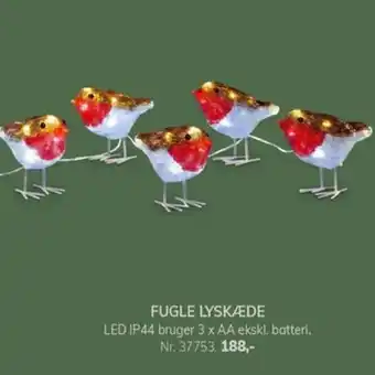 Fugle lyskæde