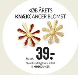 Min Købmand KØB ÅRETS KNÆKCANCER BLOMST tilbud