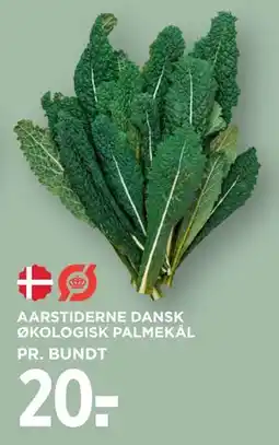 MENY AARSTIDERNE DANSK ØKOLOGISK PALMEKÅL tilbud