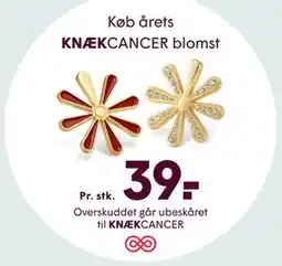 SPAR KNÆKCANCER blomst tilbud